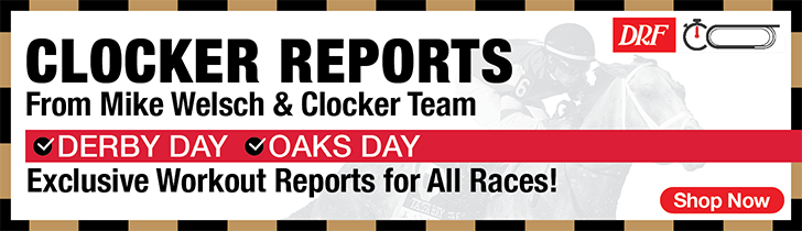 drf clocker report